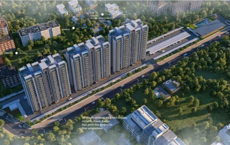 BIRD VIEW APOSTROPHE