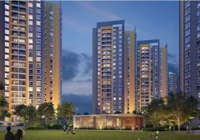 PRIDE PURPLE HIGHLIGHT