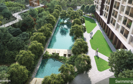 SWIMMING POOL VERDANT